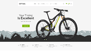 Bicycle 1