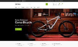 Bicycle 2